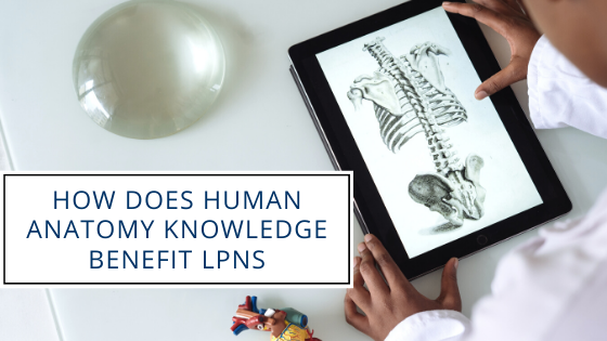 How Does Human Anatomy Knowledge Benefit LPNs