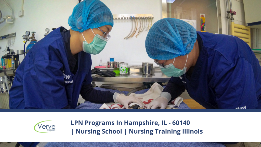 LPN Programs in Hampshire, IL - 60140 Nursing School Nursing Training Illinois