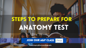 5 Tips Will Help You To Pass Your Anatomy and Physiology Classes