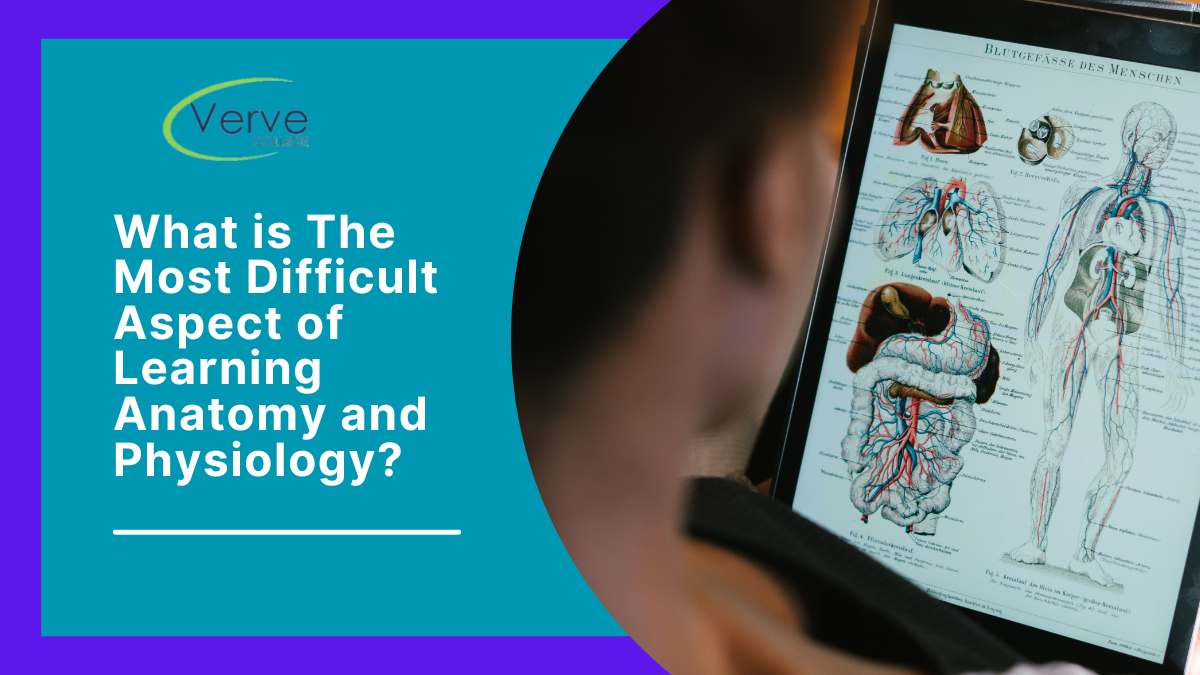 What is the Most Difficult Aspect of Learning Anatomy and Physiology?