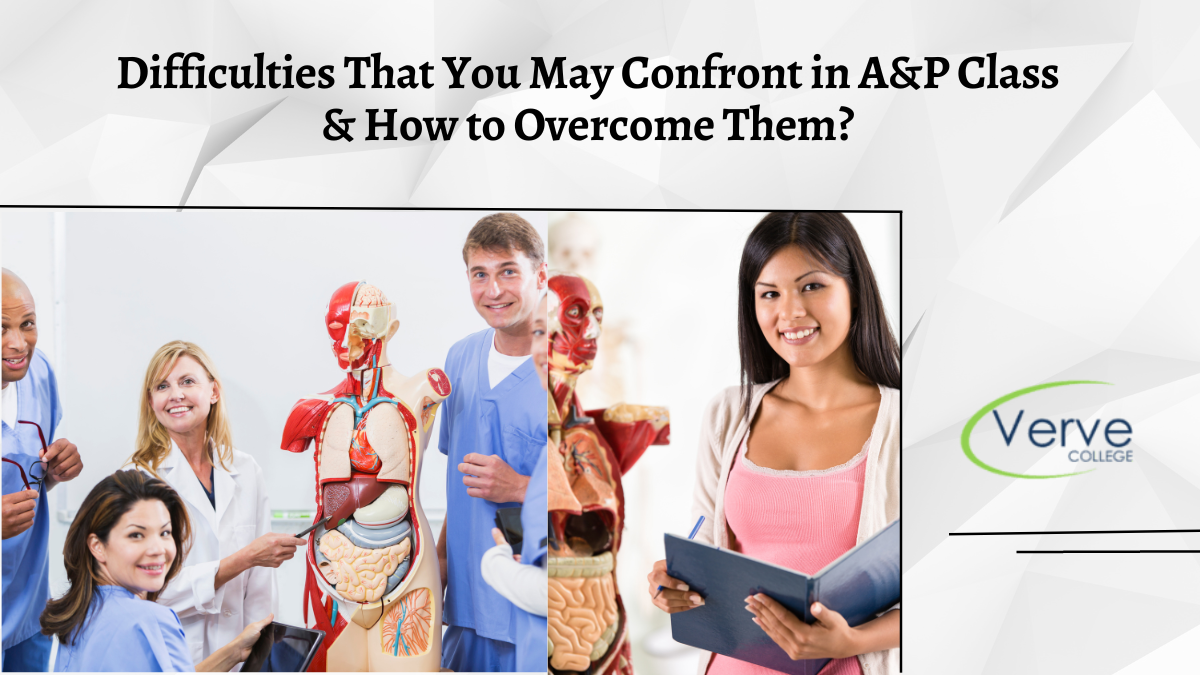 Difficulties That You May Confront in A&P Class & How to Overcome Them?