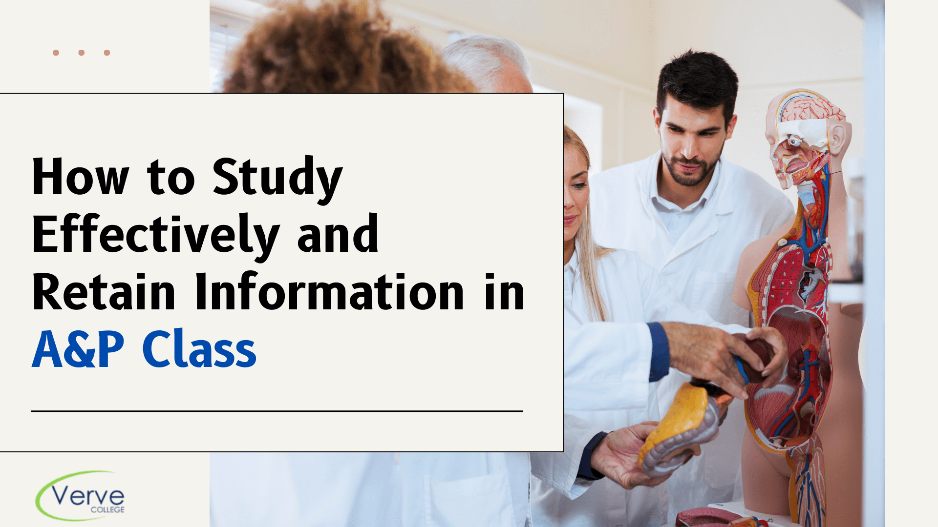 A&P Class: How to Study Effectively and Retain Information?