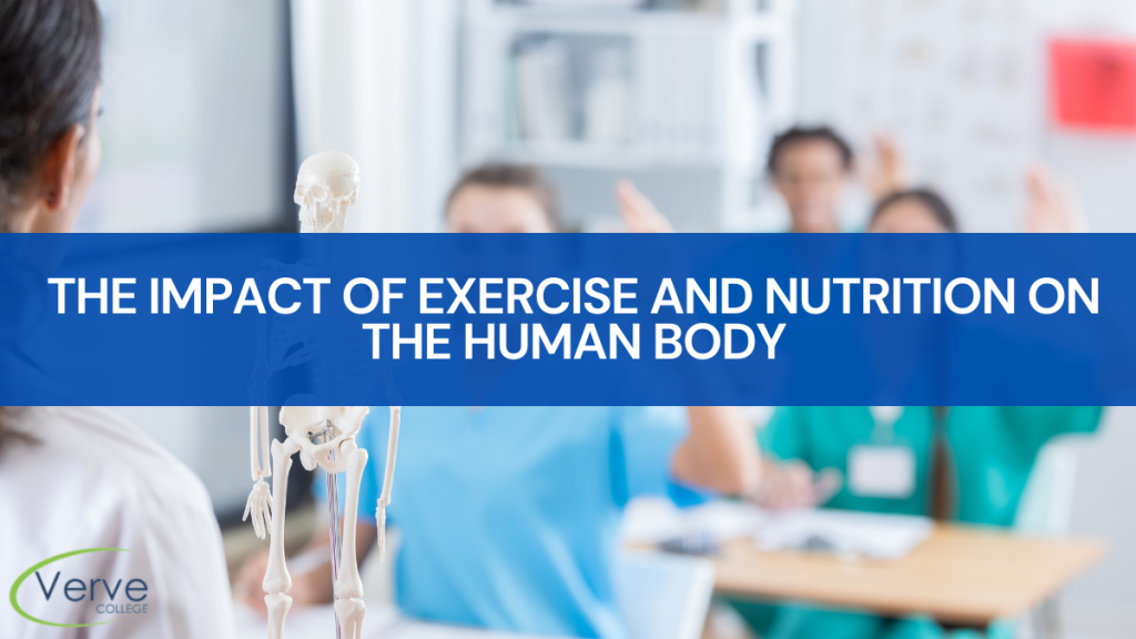 A&P Class: Exercise and Nutrition's Effects on the Human Body