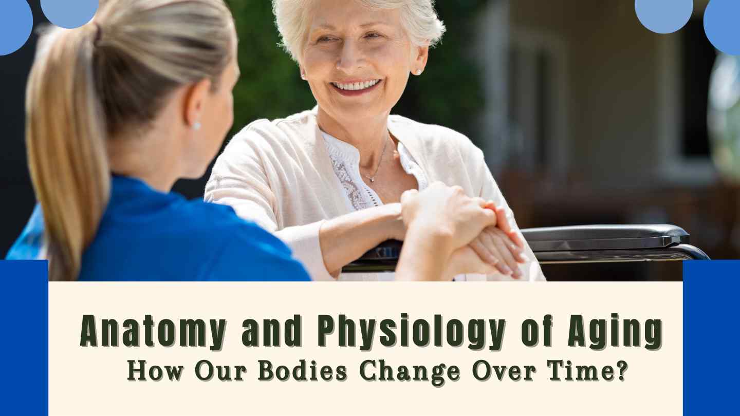 Anatomy and Physiology of Aging: How Our Bodies Change Over Time