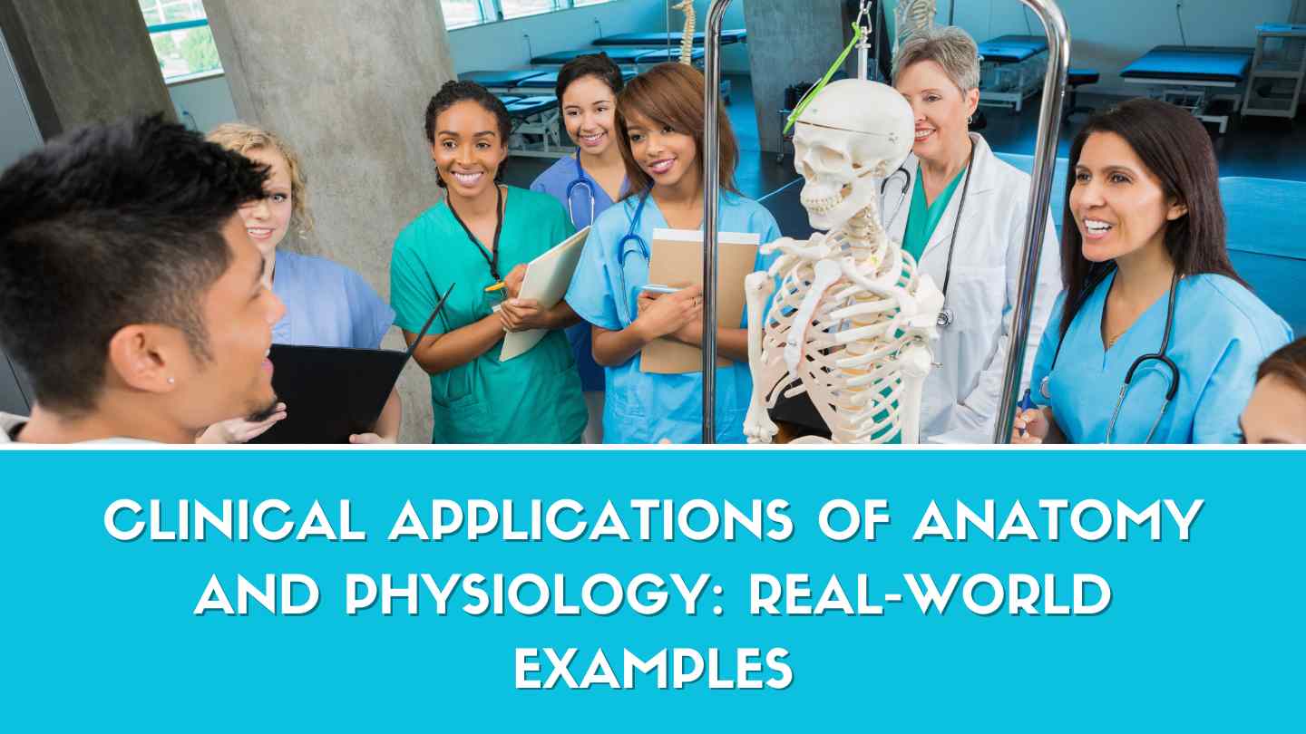 Clinical Applications of Anatomy and Physiology: Real-World Examples
