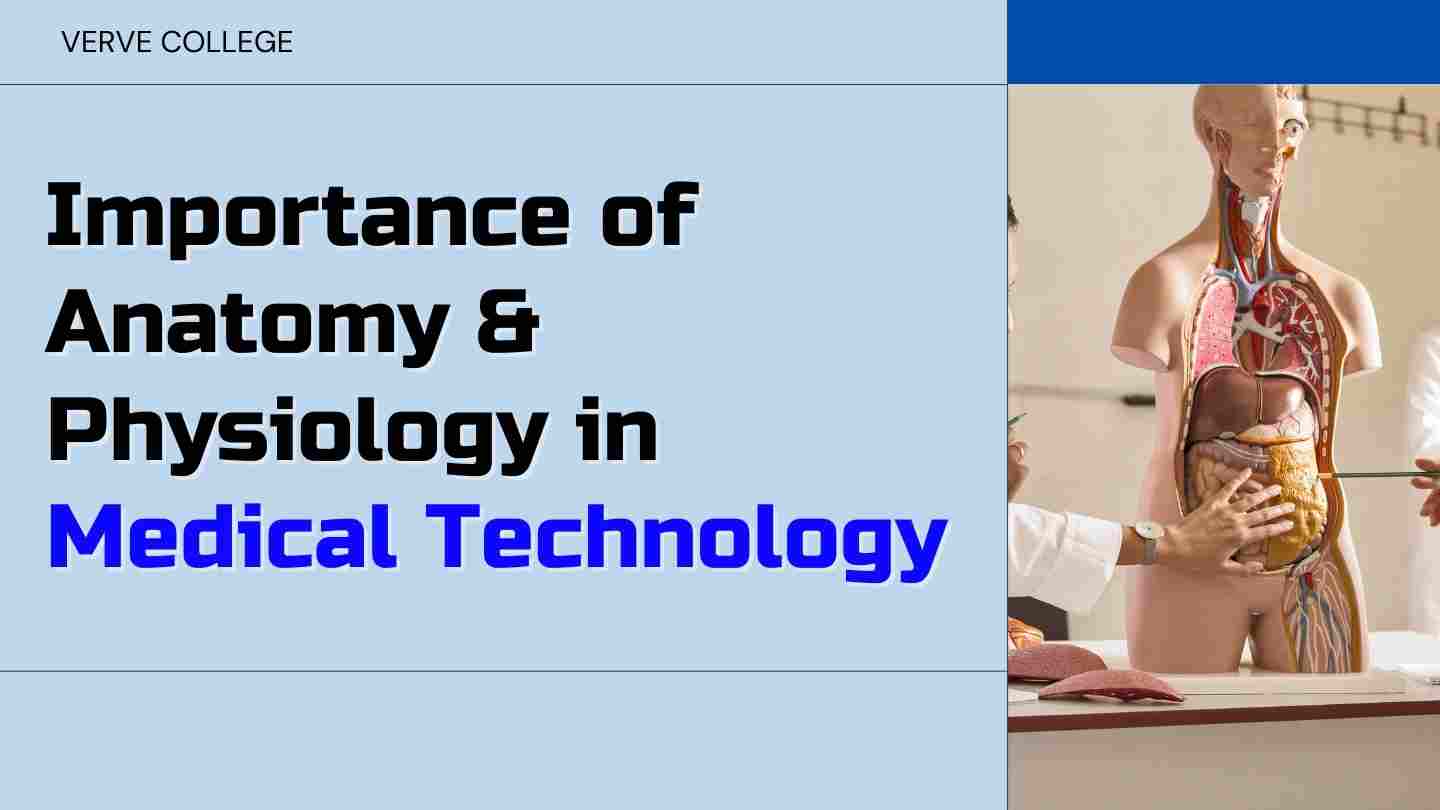 The Importance & Impact of Anatomy and Physiology in Medical Technology