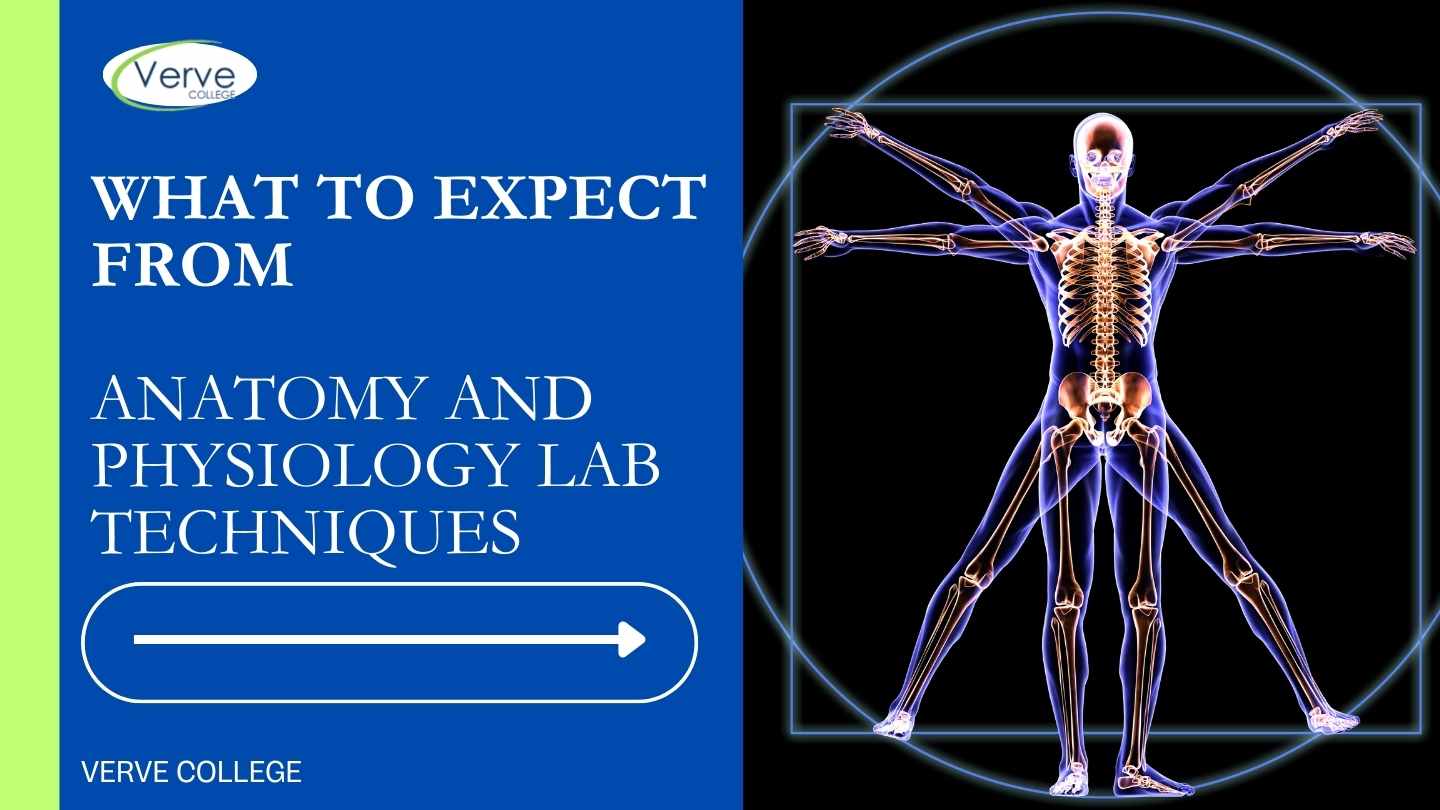 What to Expect from Anatomy and Physiology Lab Techniques?