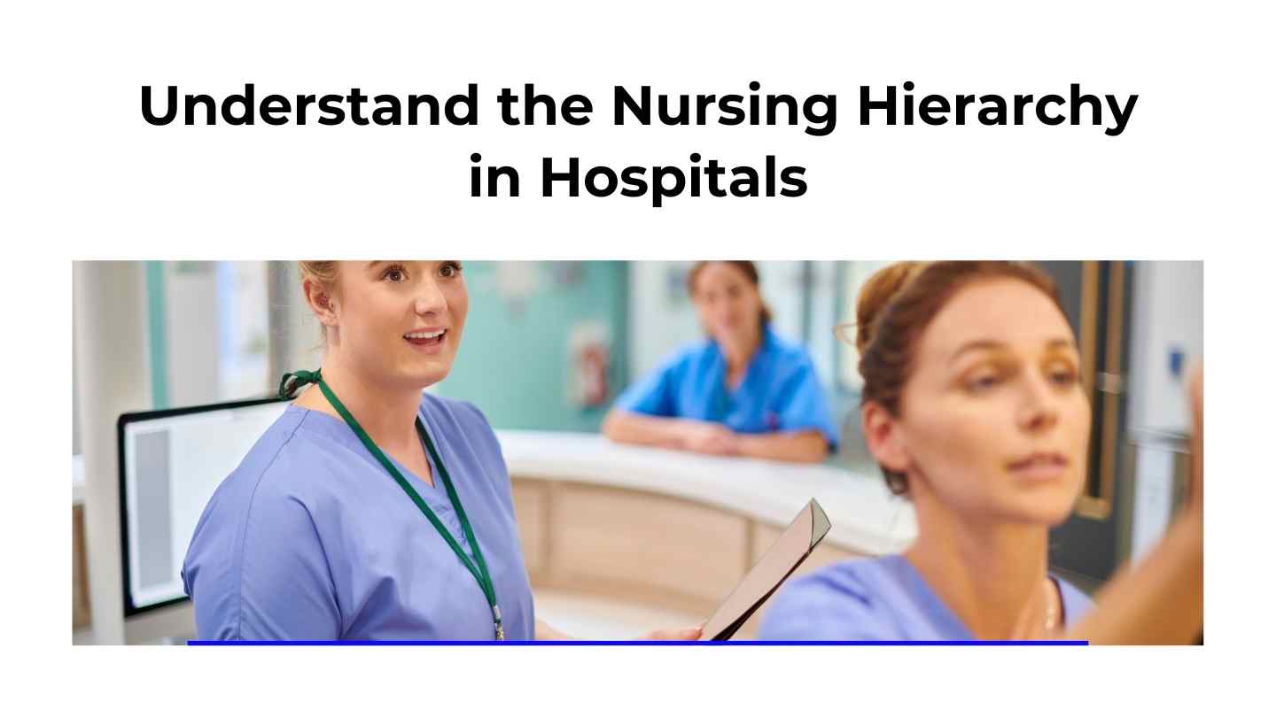 Understand the Nursing Hierarchy in Hospitals