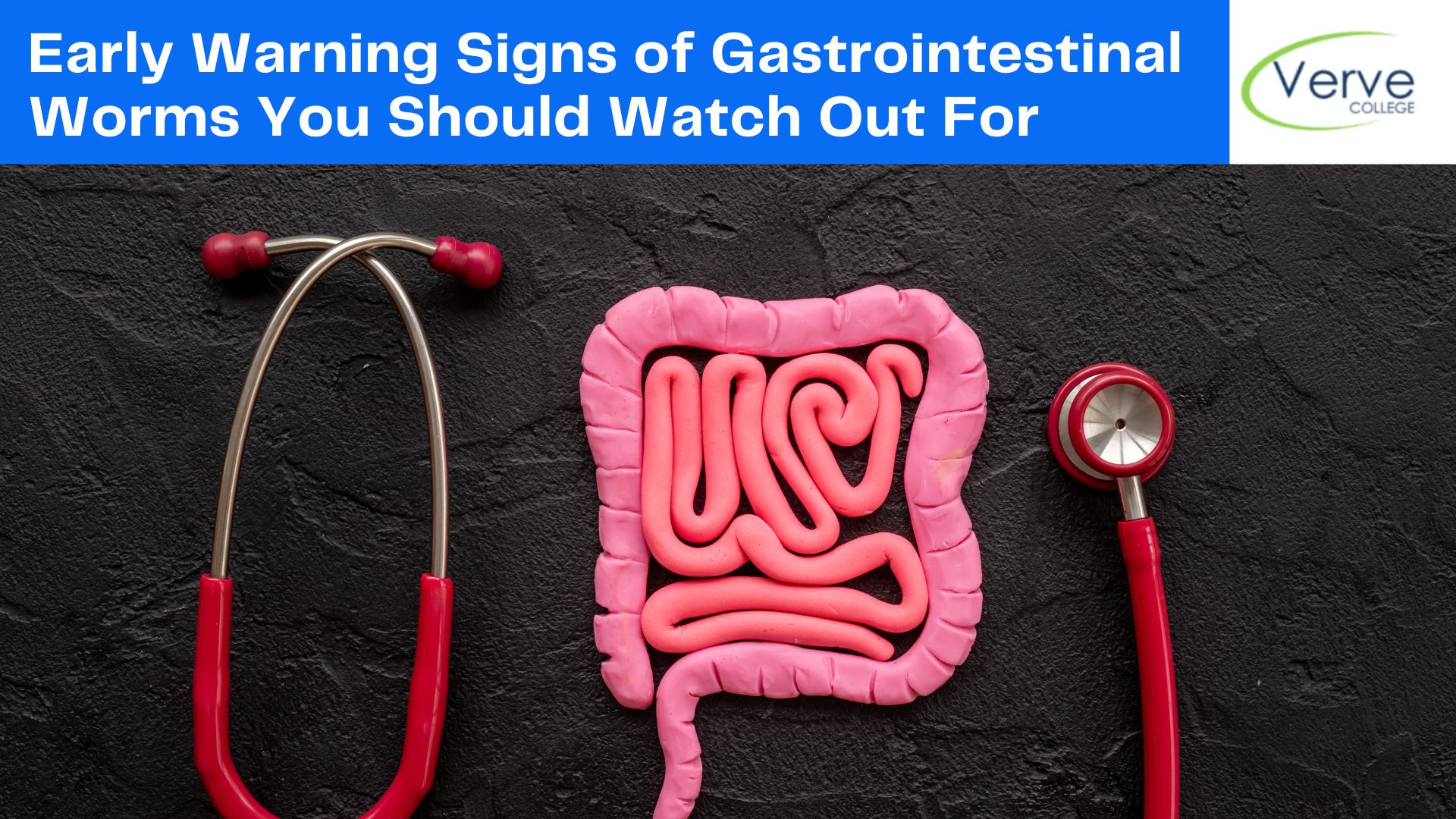 Early Warning Signs of Gastrointestinal Worms You Should Watch Out For