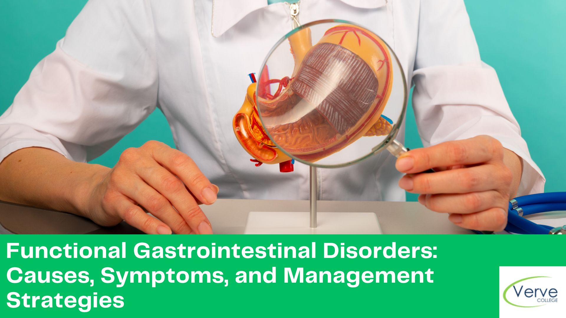 Functional Gastrointestinal Disorders: Causes, Symptoms, and Management Strategies