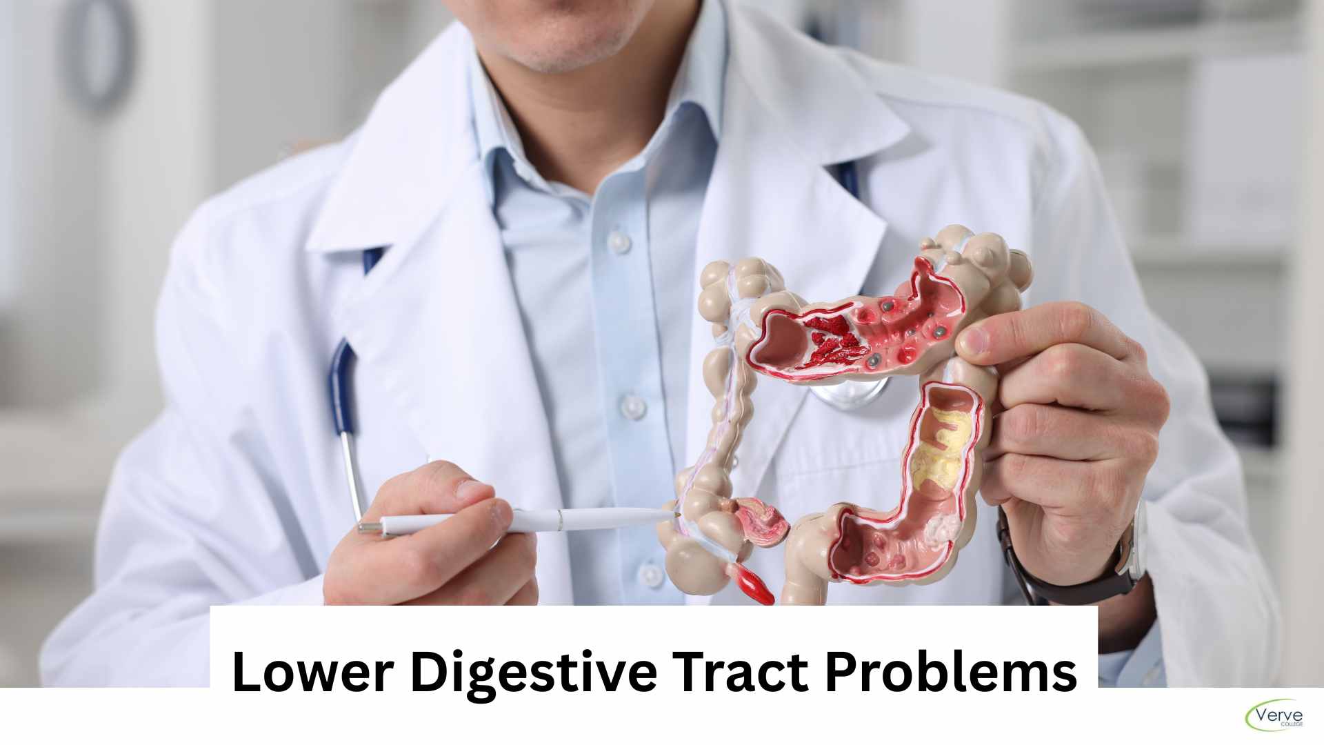 Lower Digestive Tract Problems: A LPN’s Guide