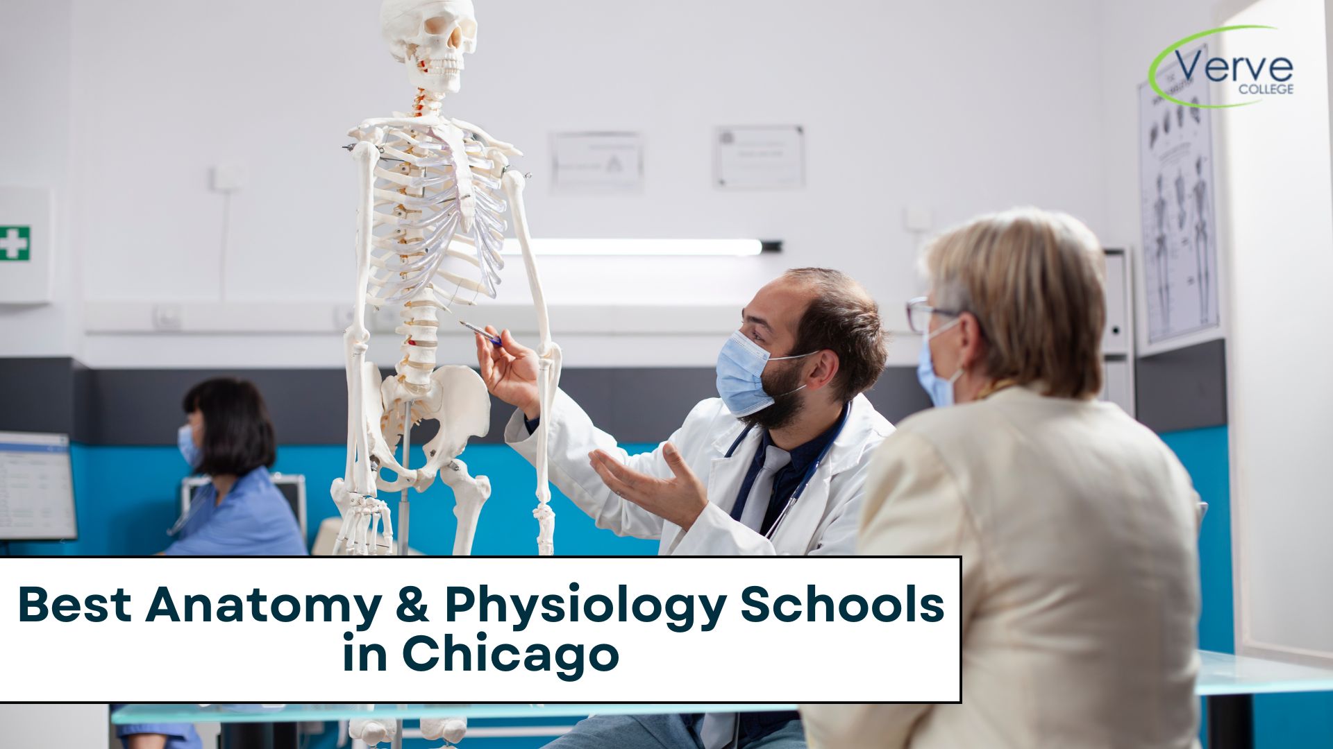 5 Best Anatomy & Physiology Schools in Chicago 2025
