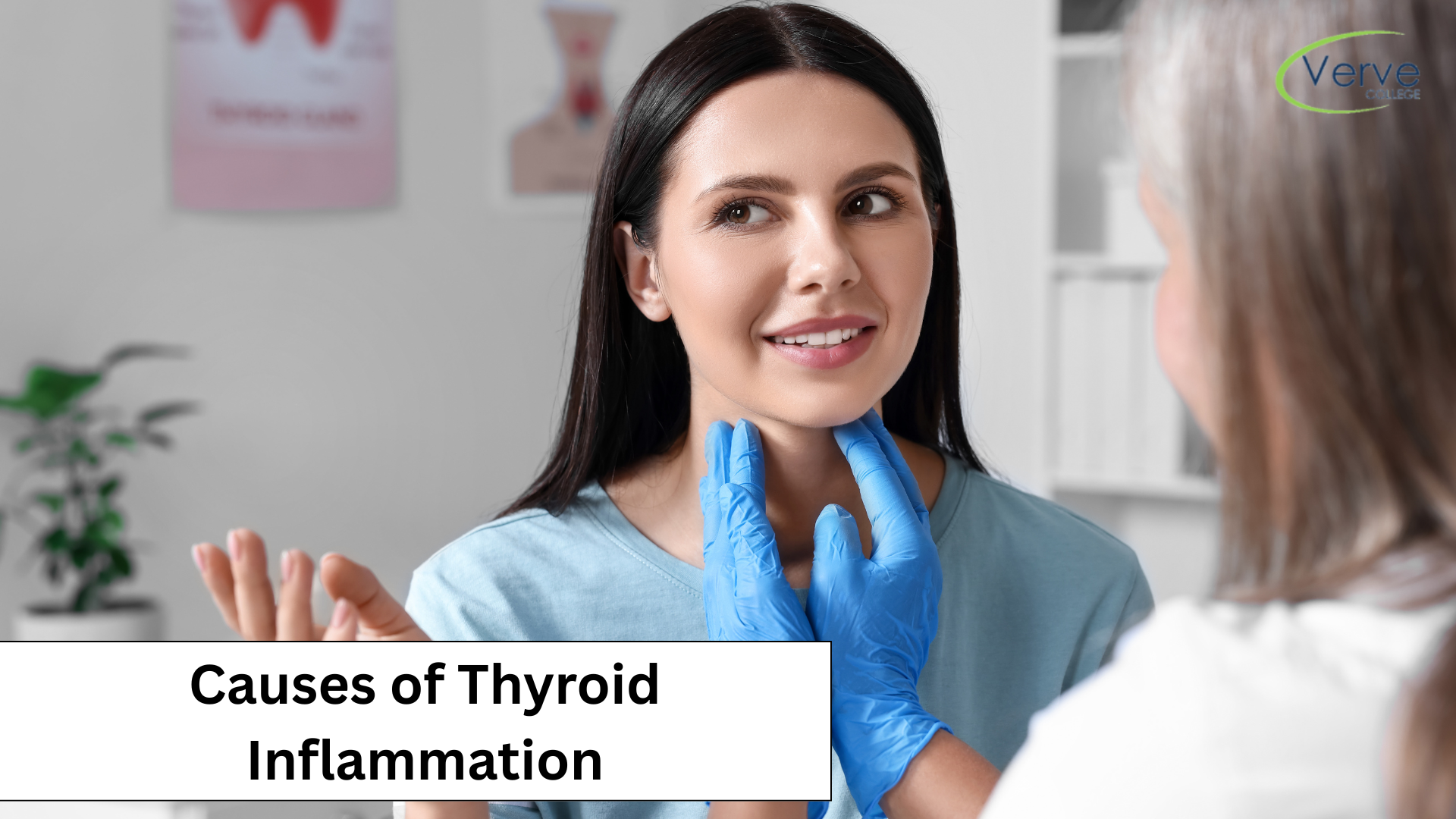 Comparative Anatomy Its Example To Understand Better Comparative Anatomy Its Example To Understand Better