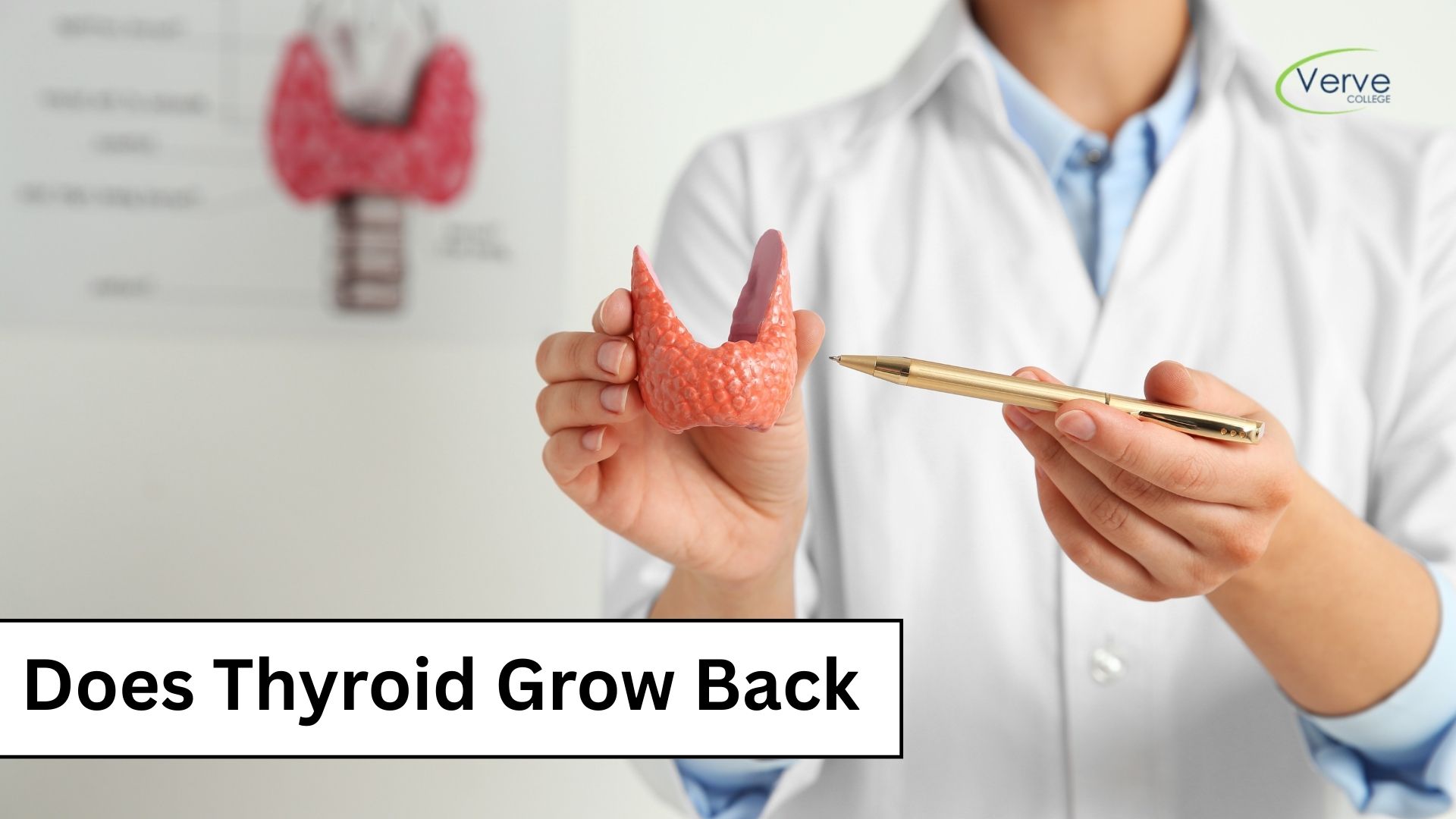 Does the Thyroid Grow Back After Treatment?