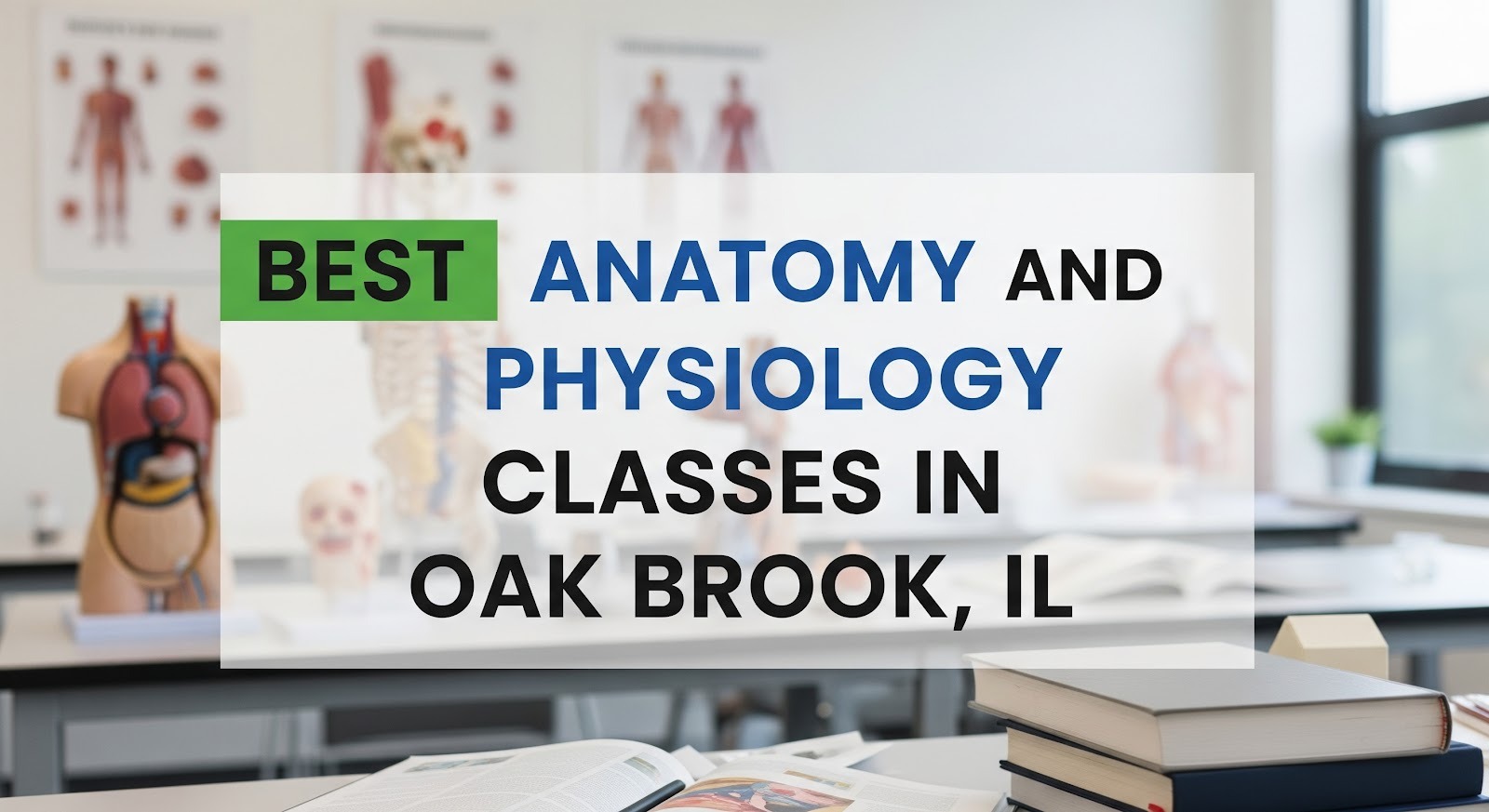 Best Anatomy and Physiology Classes in Oak Brook, IL