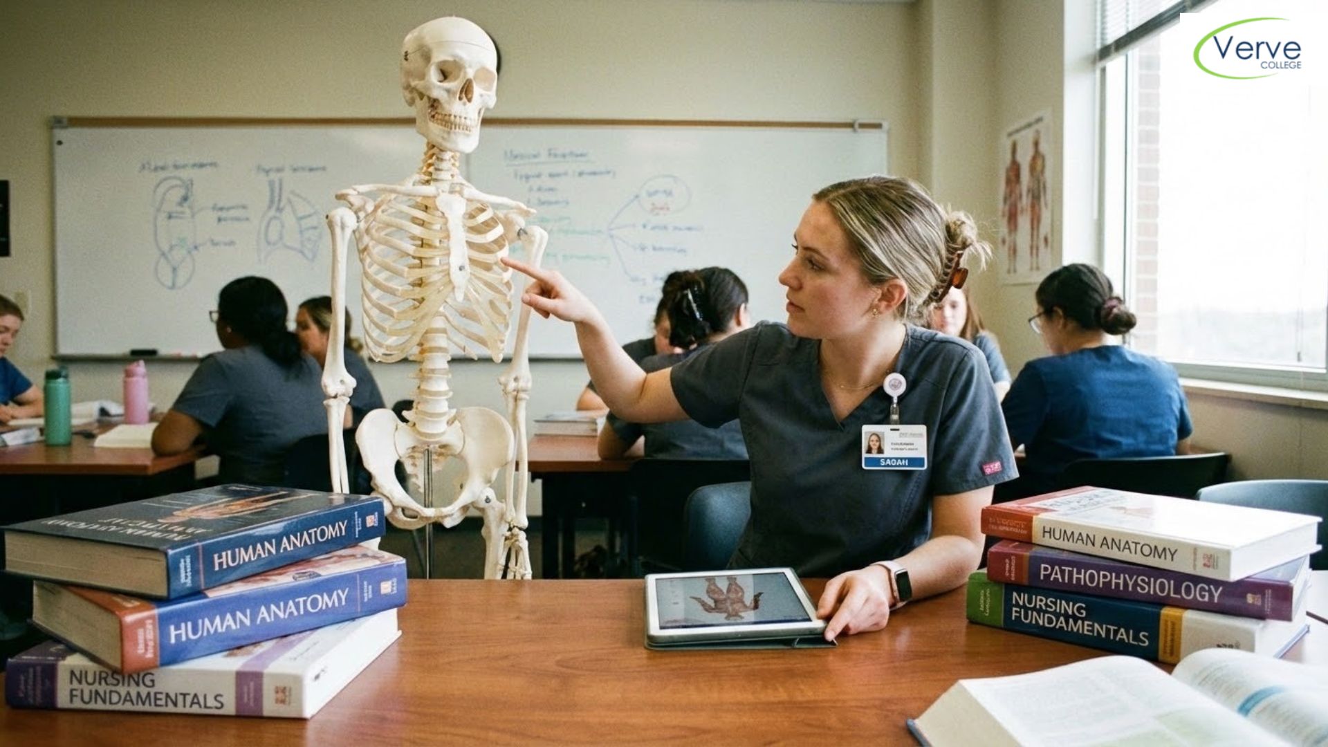 Complete Guide to Skeletal Tissues, Bone Structure and Functions