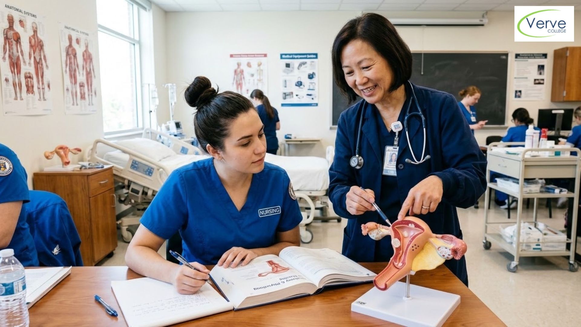 The Reproductive System: What Nursing Students Need to Know