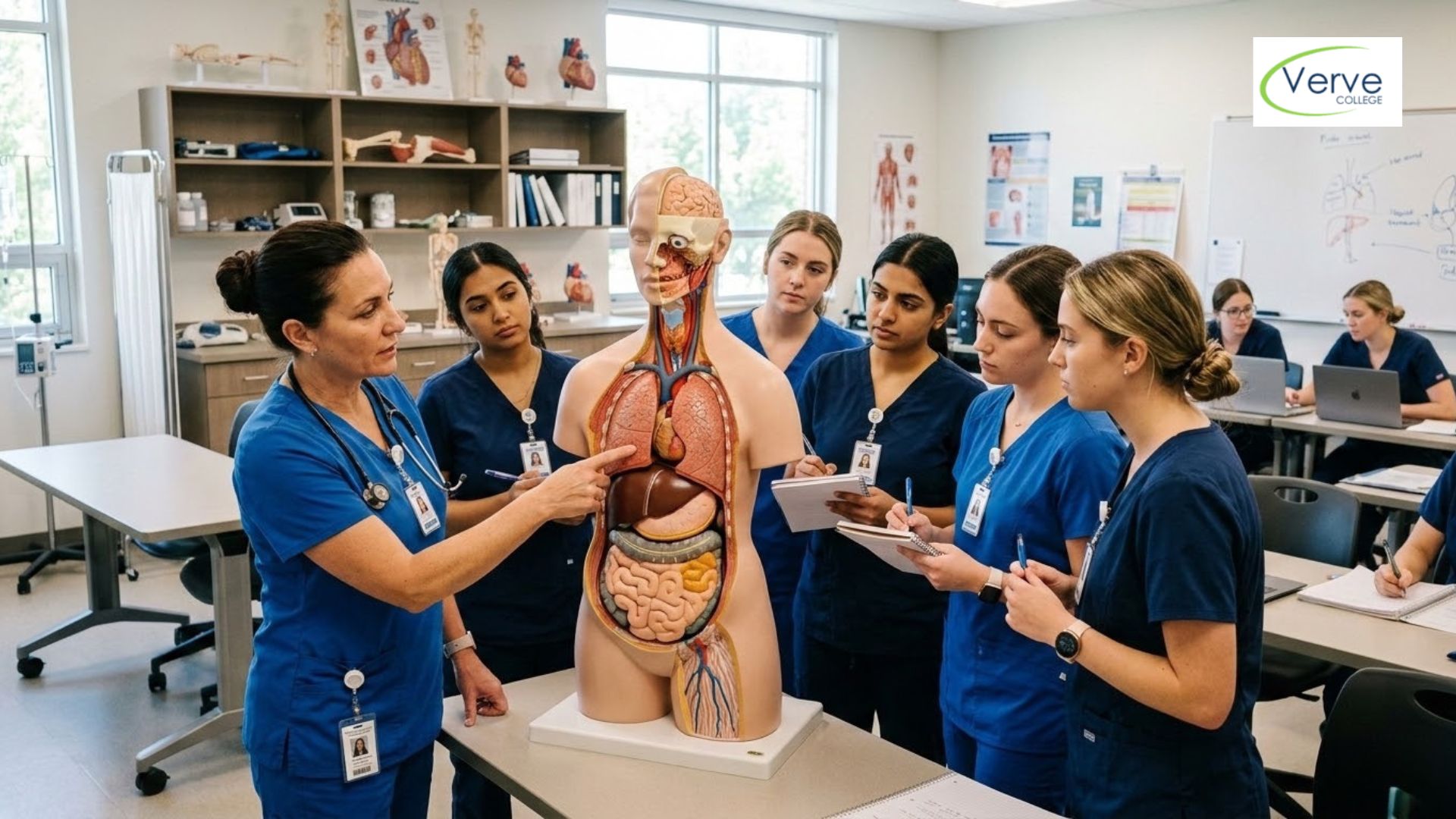 Understanding the Location of Organs, Cells, and Tissues in Human Anatomy