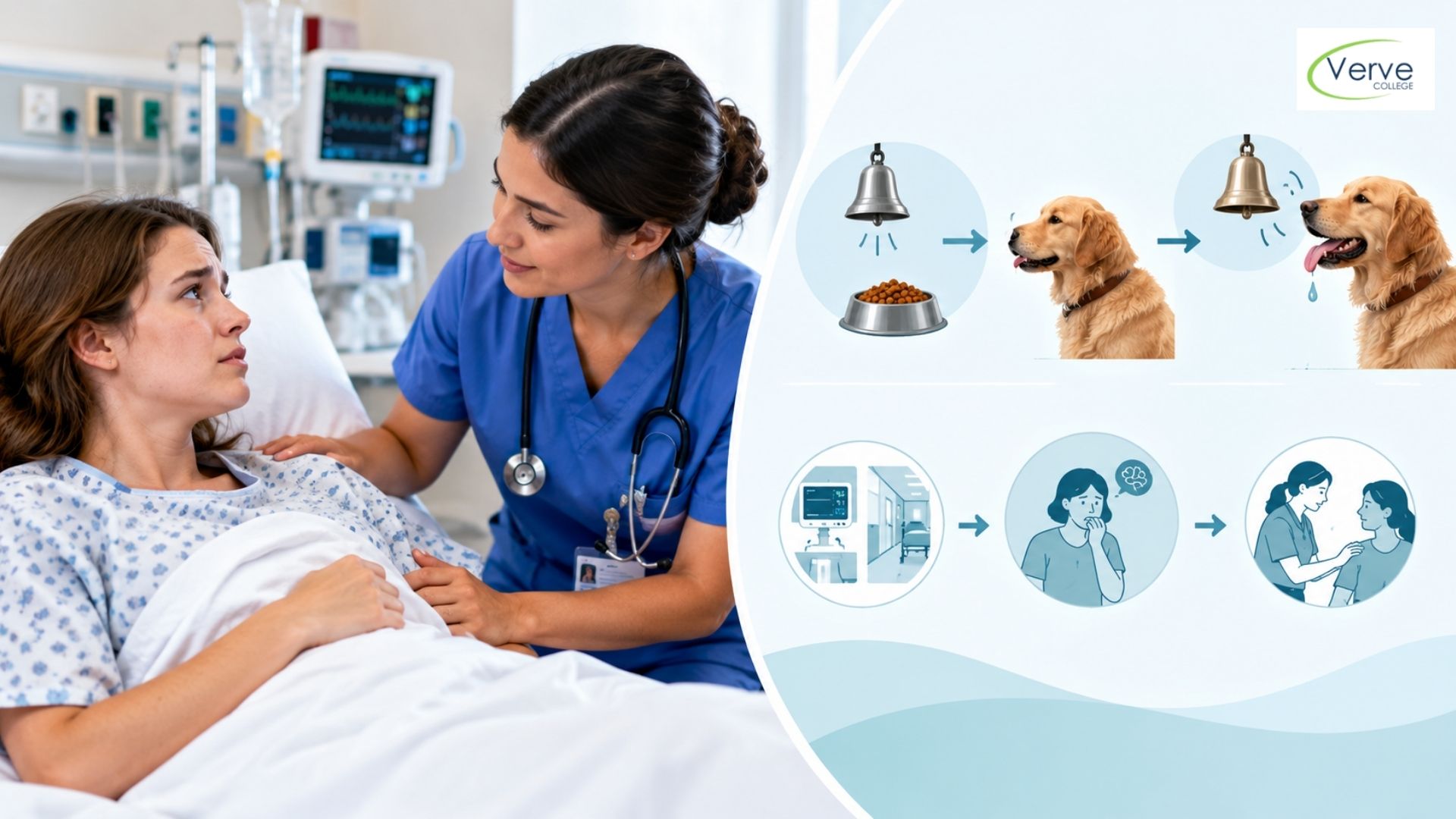 What Is Classical Conditioning? Guide for Nursing Students What Is Classical Conditioning? Guide for Nursing Students
